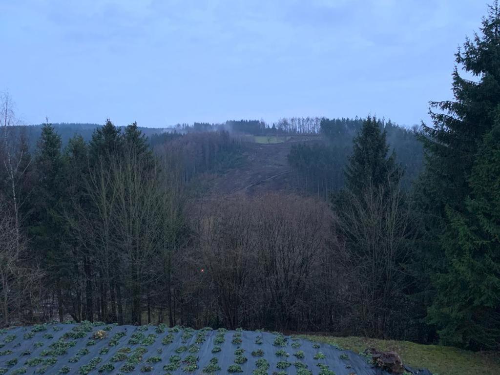 Terrasses De Malmedy Connecto Duplex 435 & 436 En Studio 336 المظهر الخارجي الصورة